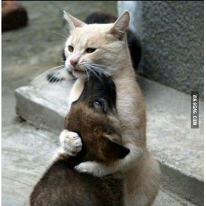 Meet your Posher, Stacey